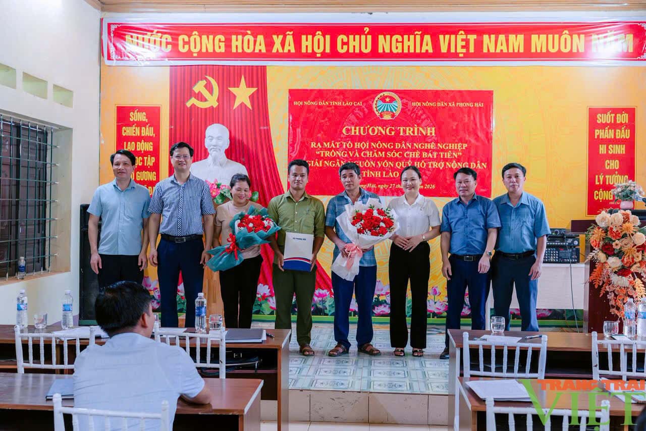Phong Hải ra mắt Tổ hội nghề nghiệp chè Bát Tiên, giải ngân 1 tỷ đồng hỗ trợ nông dân